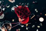 Photos gratuites de amour, amoureux, anniversaire