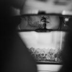 Photos gratuites de affection, amour, artistique